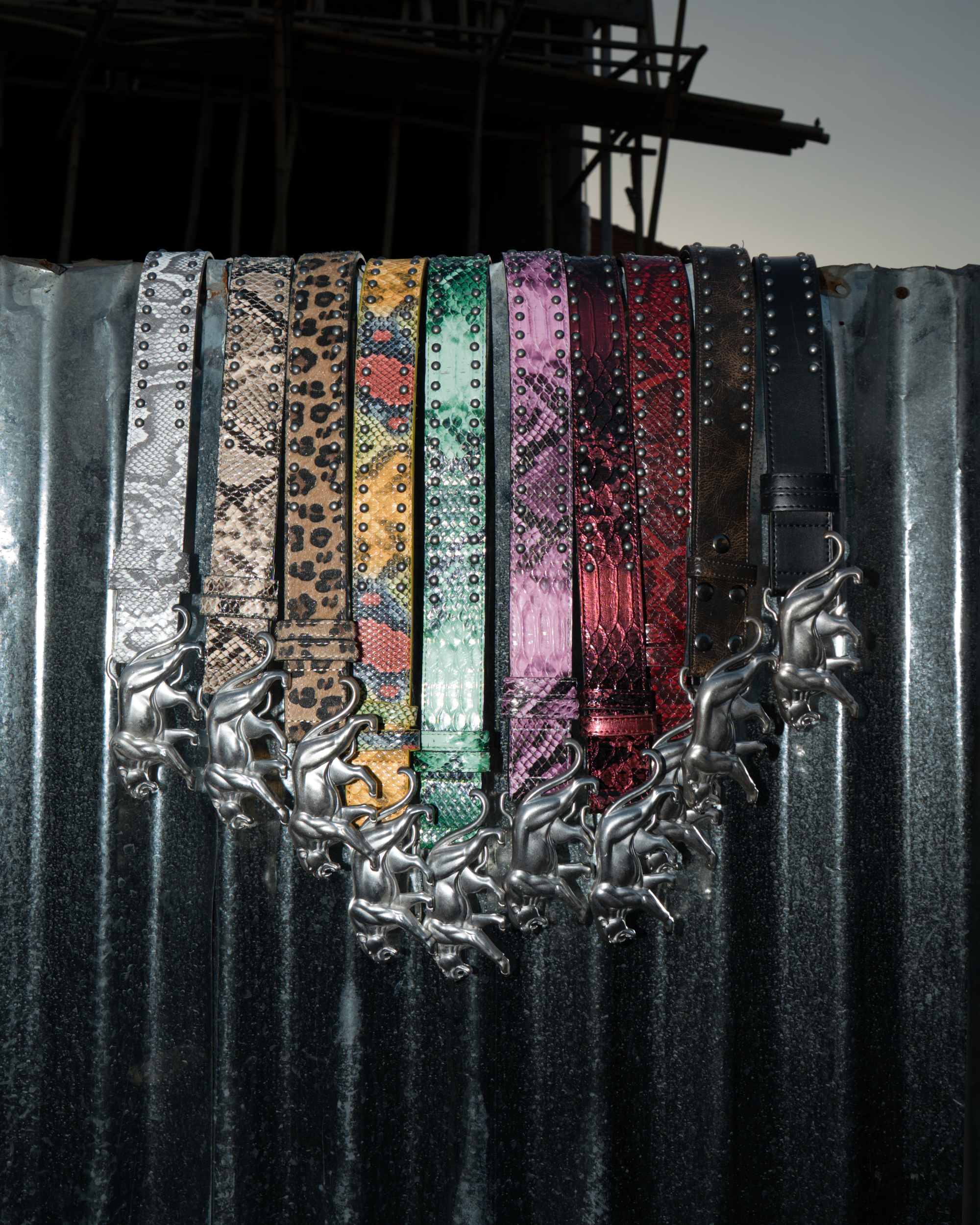 PANTHER BELTS